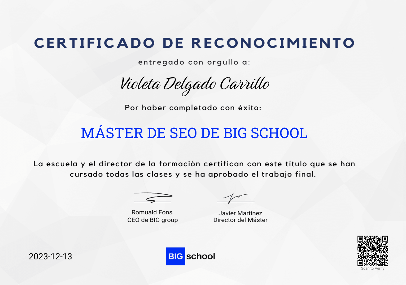 Big SEO Master SEO & web positioning